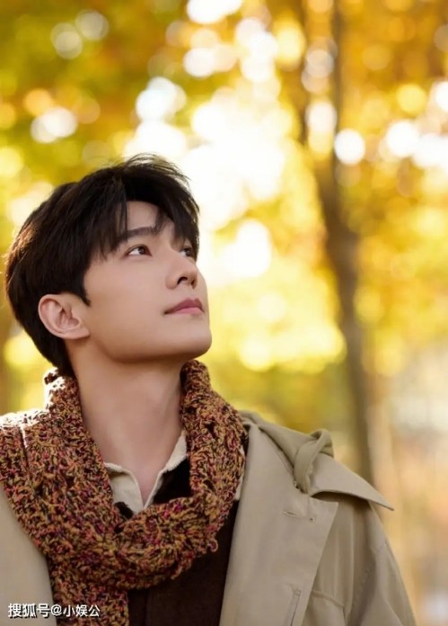 2025年11月最火五部电视剧盘点