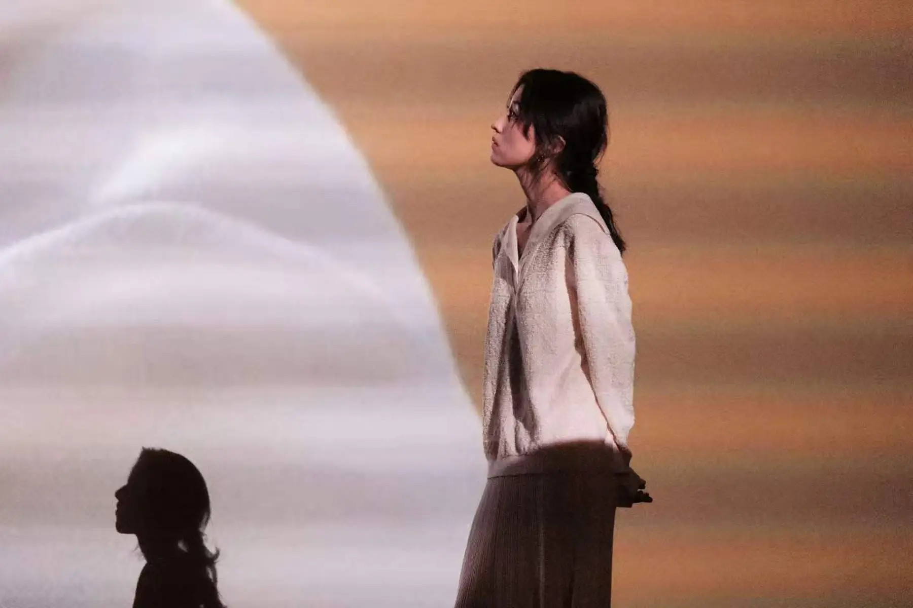 谢晖也没想到，不愿生娃的佟晨洁和魏巍也离婚了，18年两段婚姻，都败给同一个“死结”